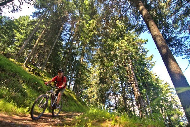 MTB nel bosco con occhiali da sole