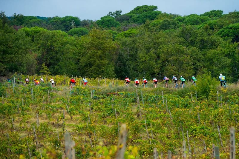 eroica 8
