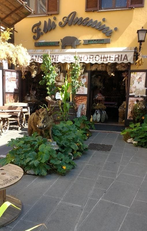 Norcia