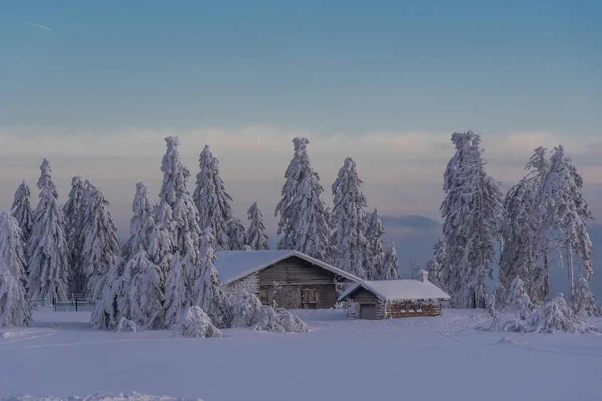 neve