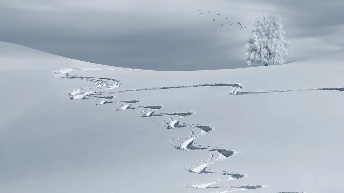 scia neve