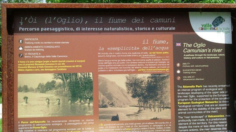 informazioni oglio