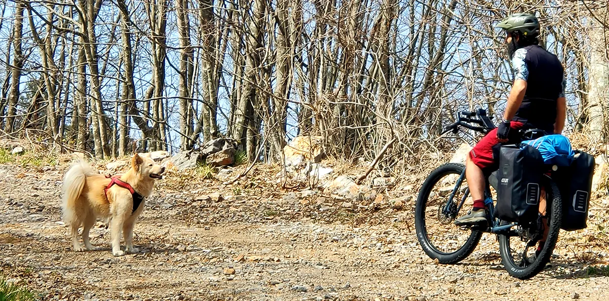 01 andare in bici