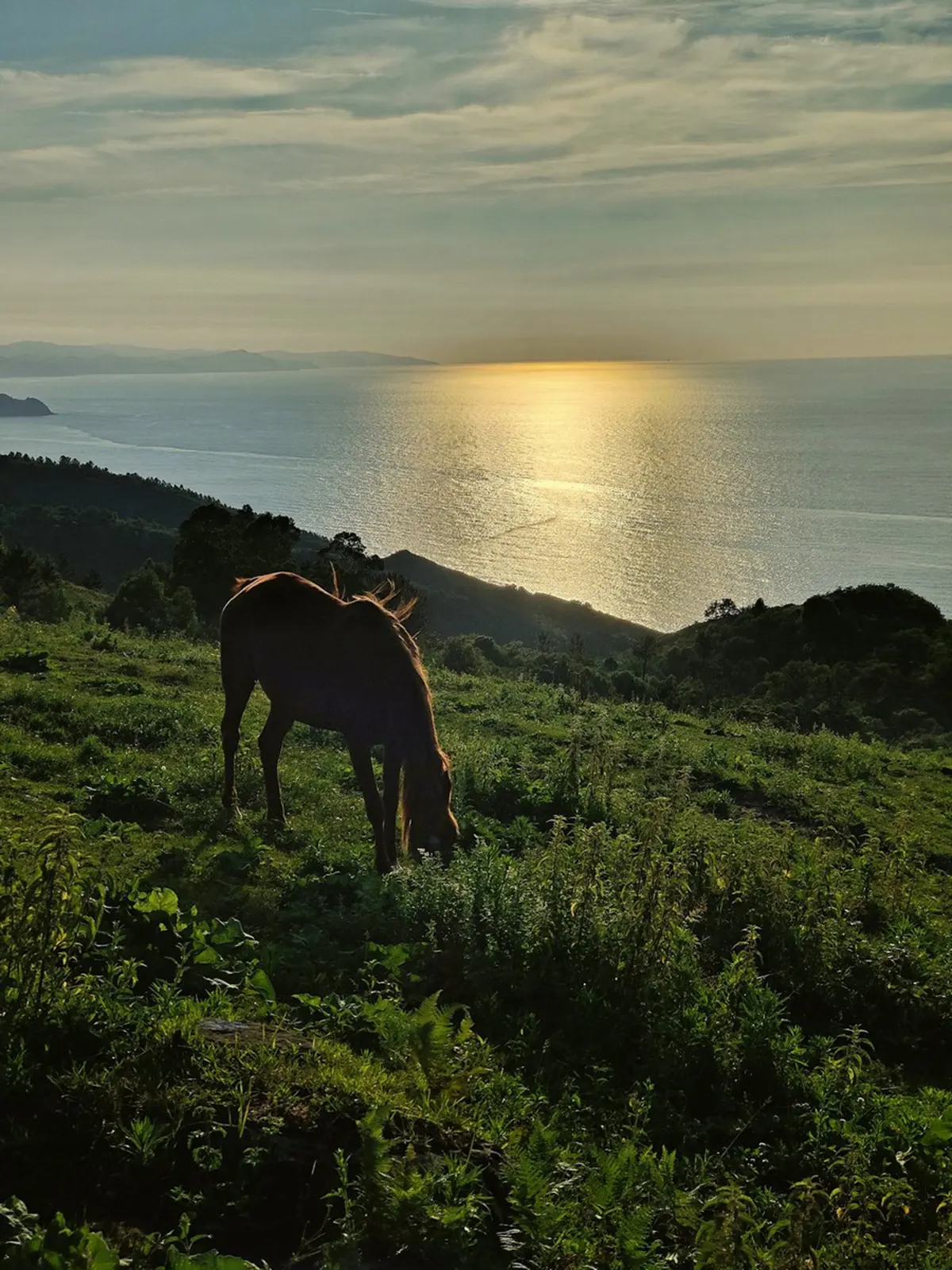 cammino di santiago del nord03