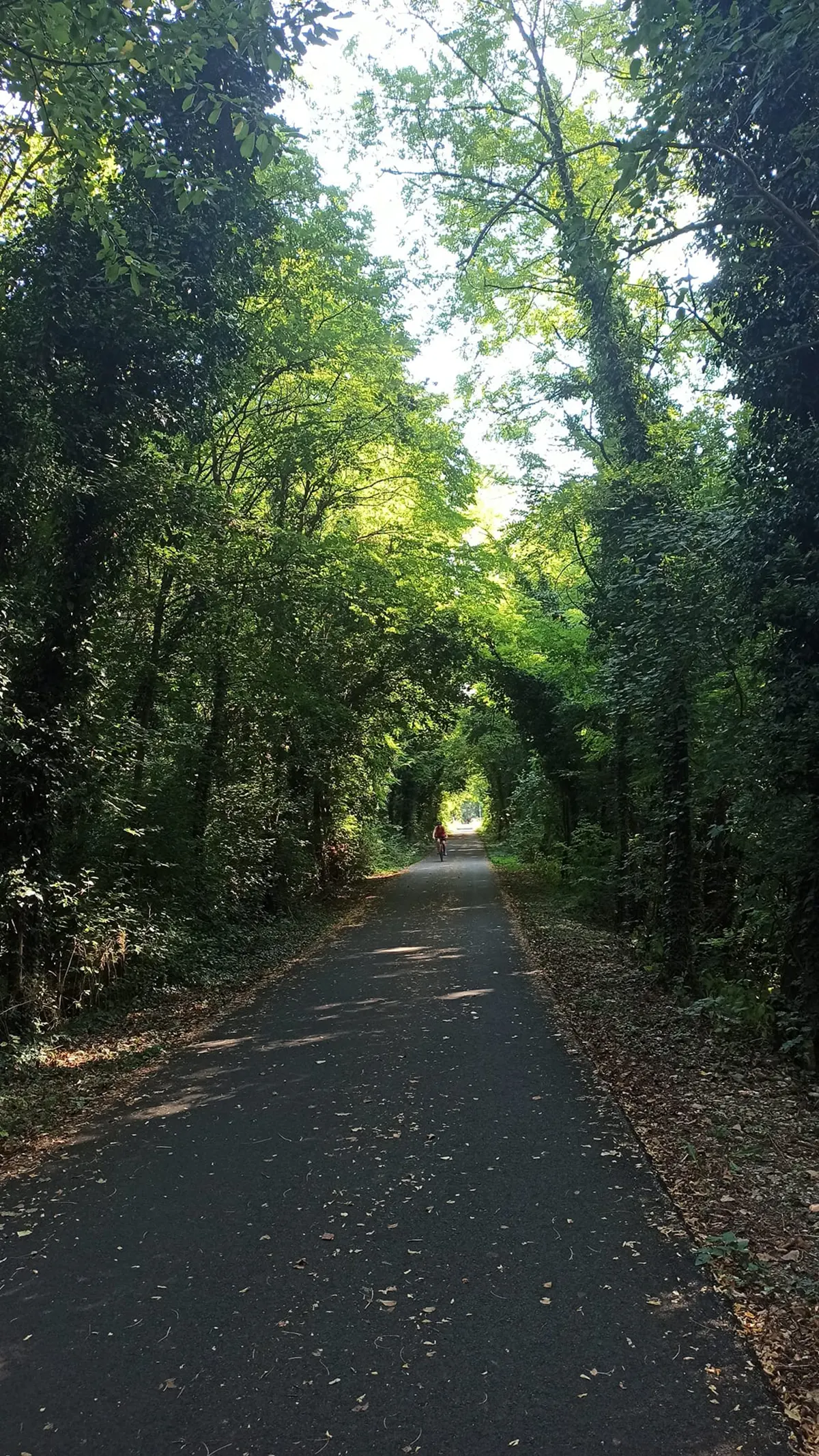 Treviso Ostiglia in bici