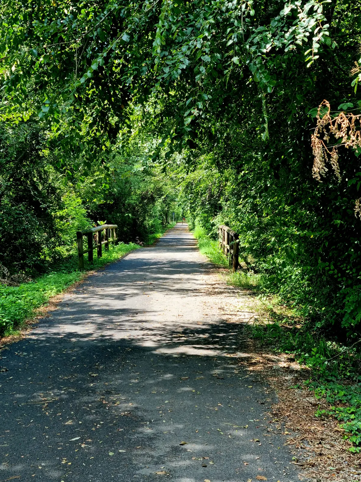 Ciclabile Treviso Ostiglia