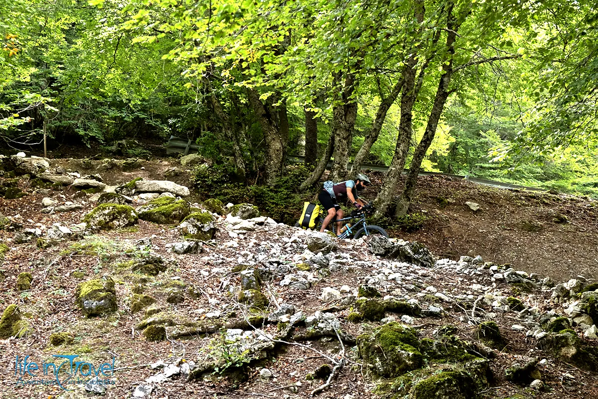 madonie discesa bosco