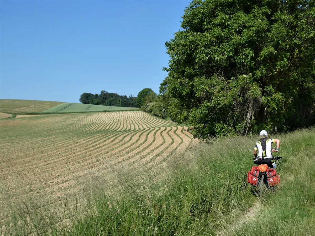 036 Wittersdorf