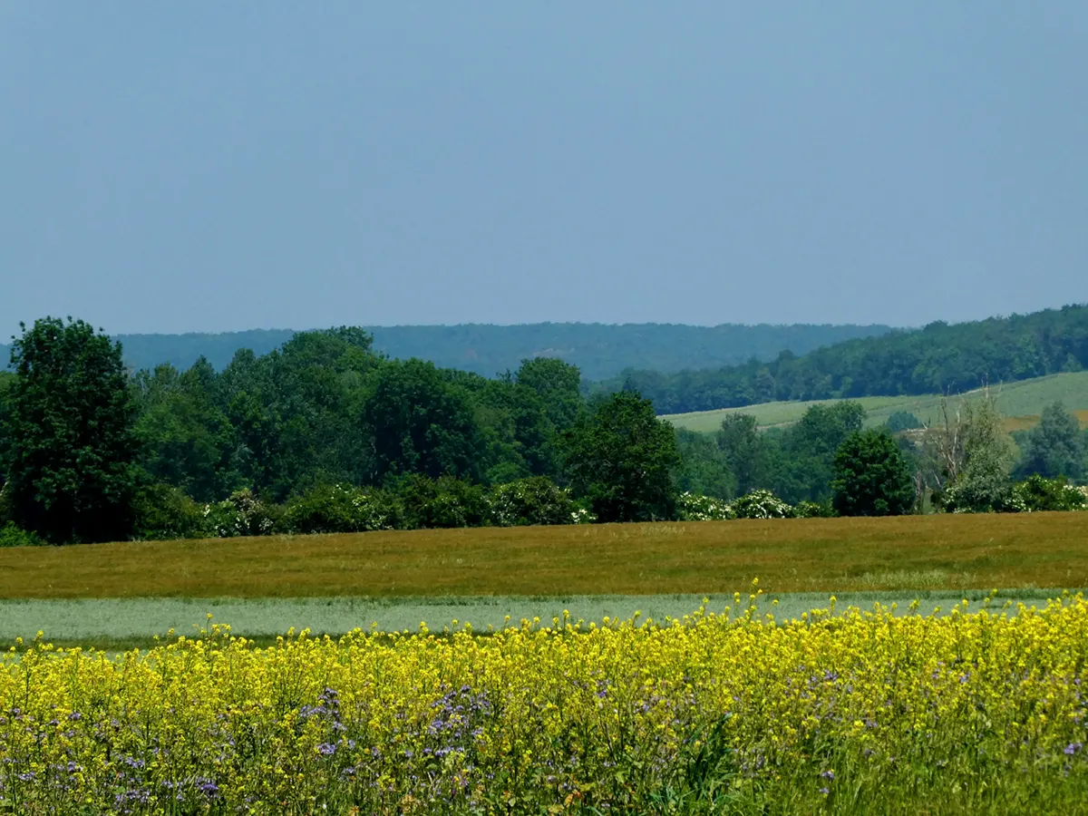 049 Arconville