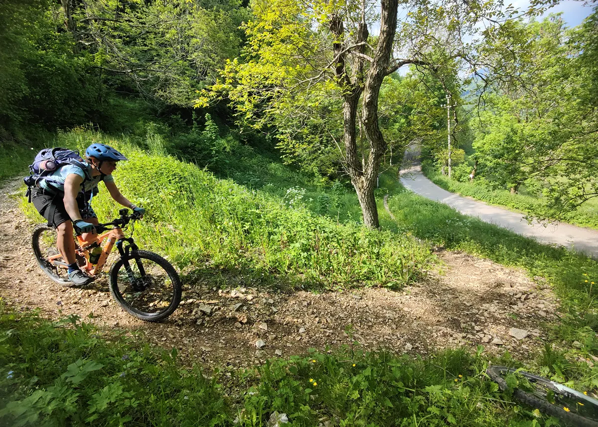 23 mtb lessini