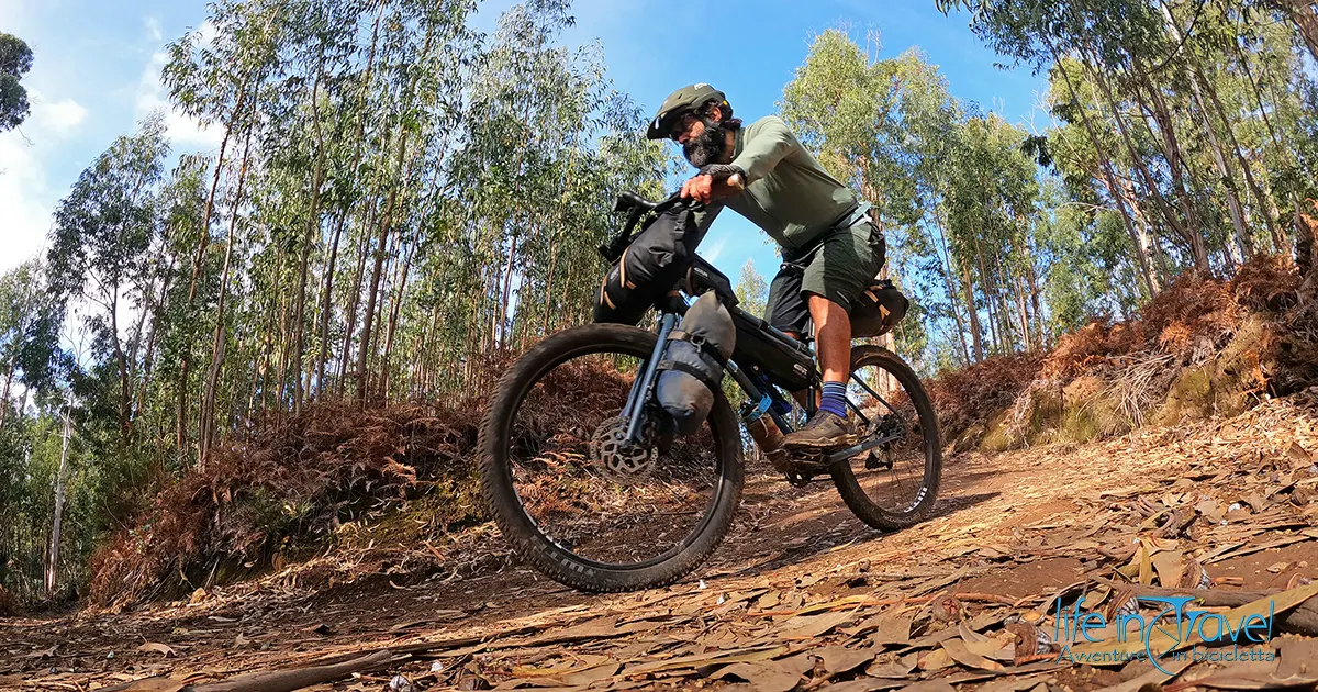 02 madeira in bici