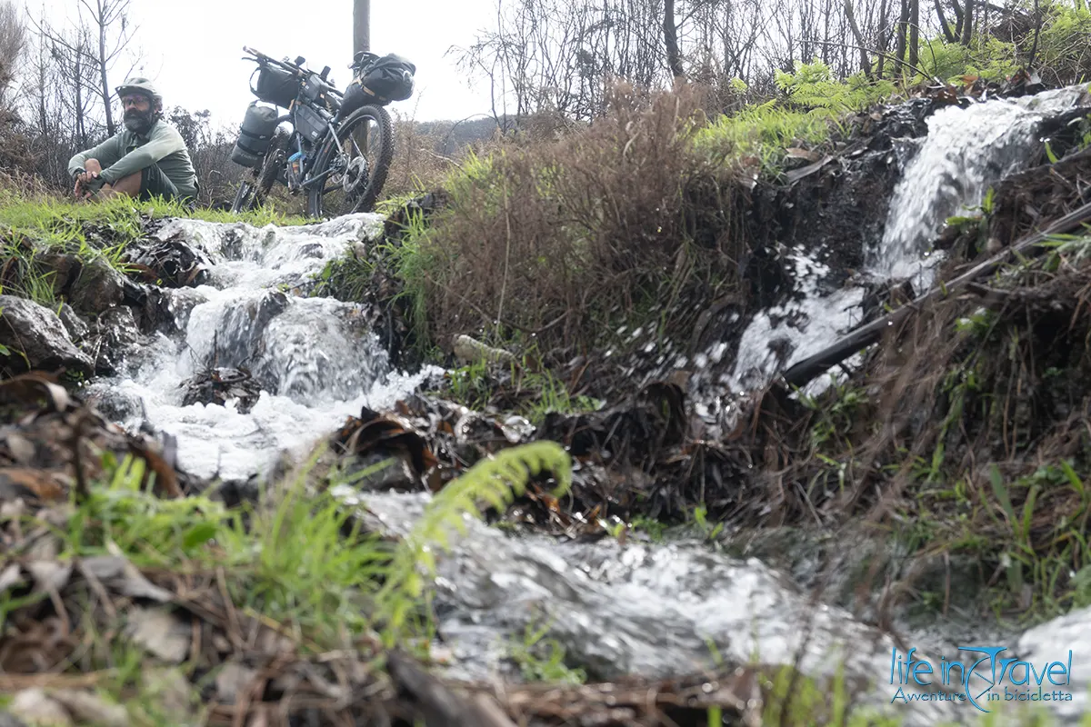 22 madeira in bici