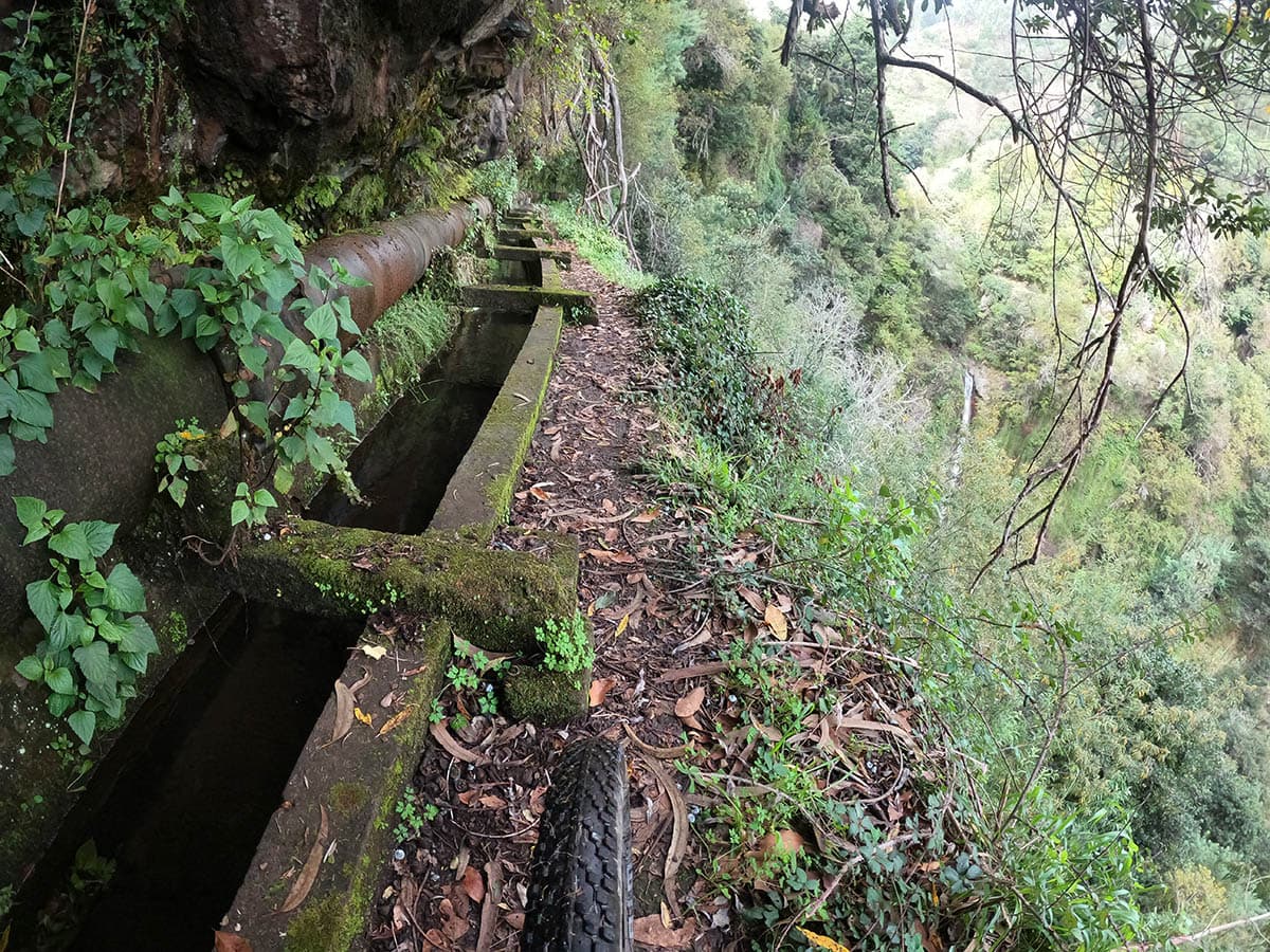 48 madeira in bici