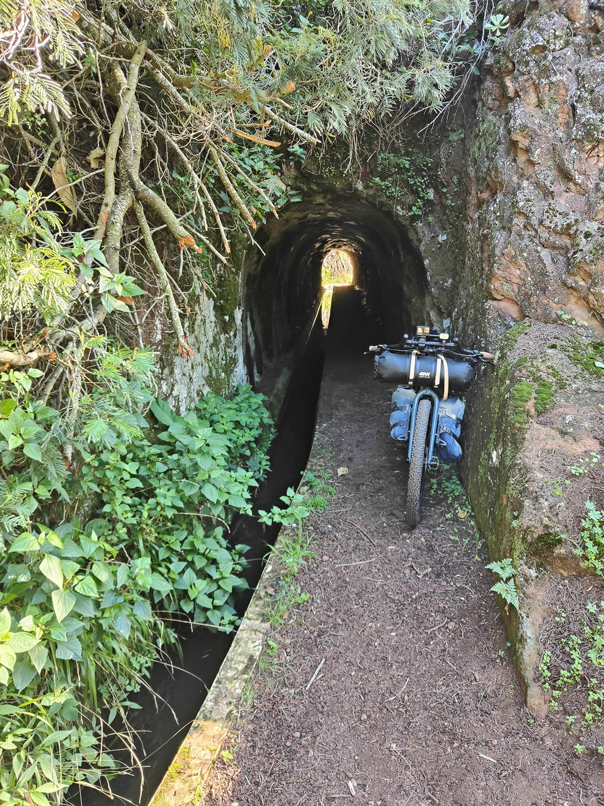 50 madeira in bici