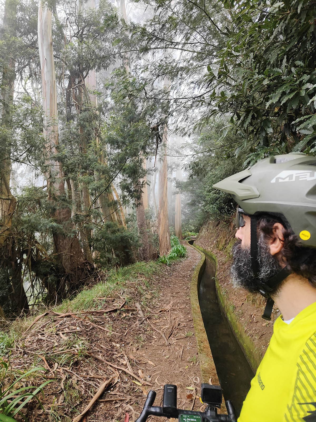 51 madeira in bici