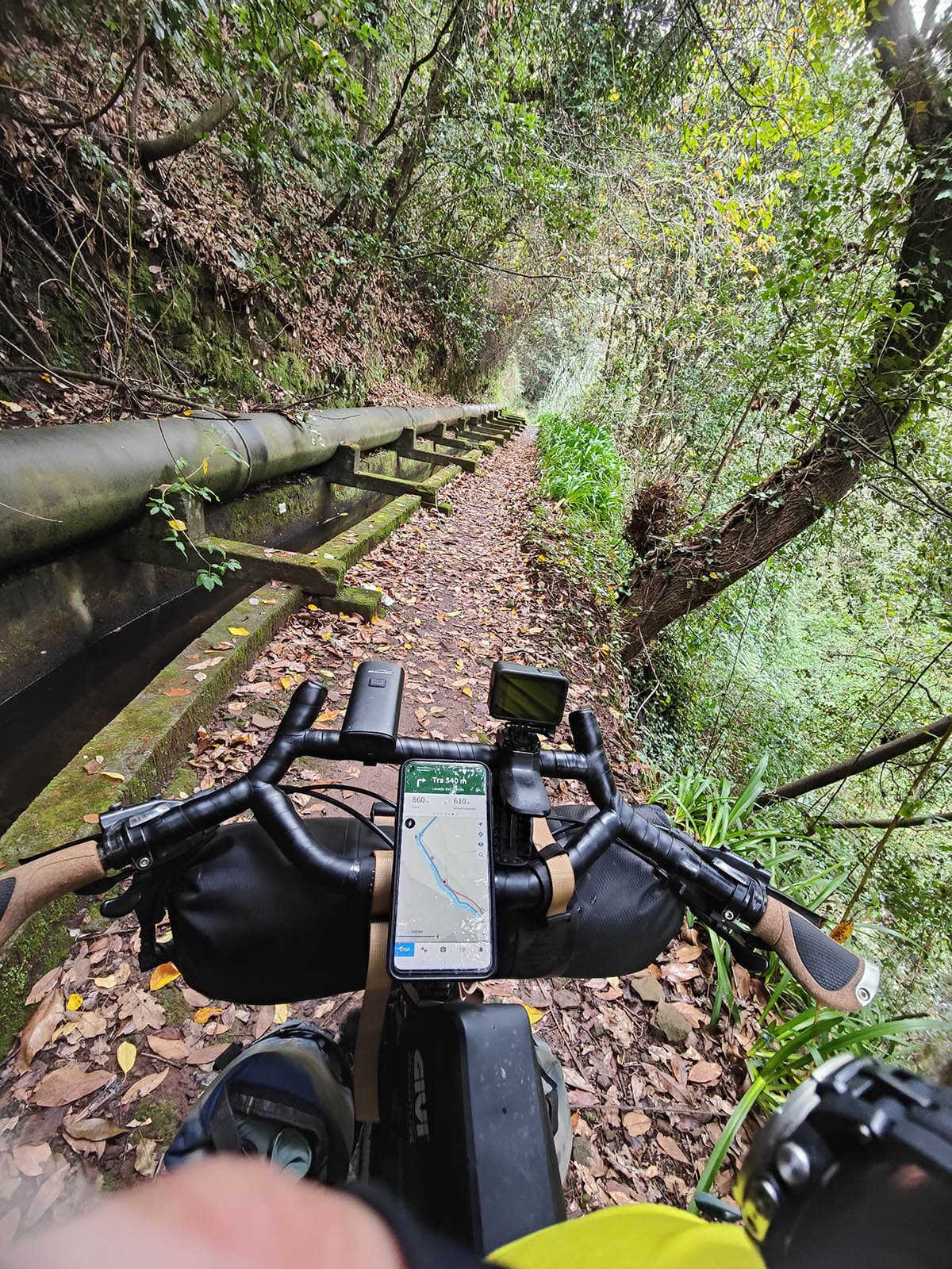 80 madeira in bici