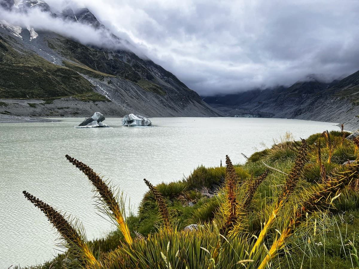 Icebergs sul lago Hooker Aoraki National Park