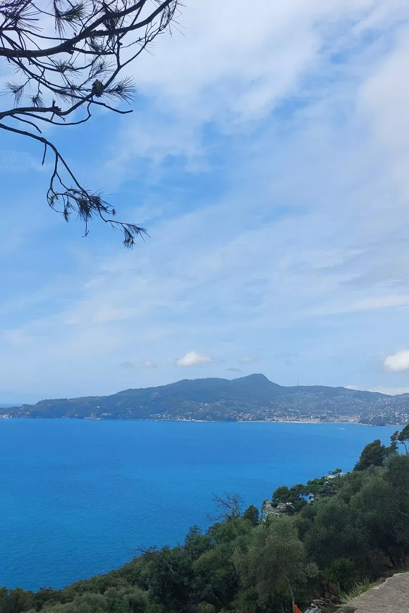  Sopra a Zoagli