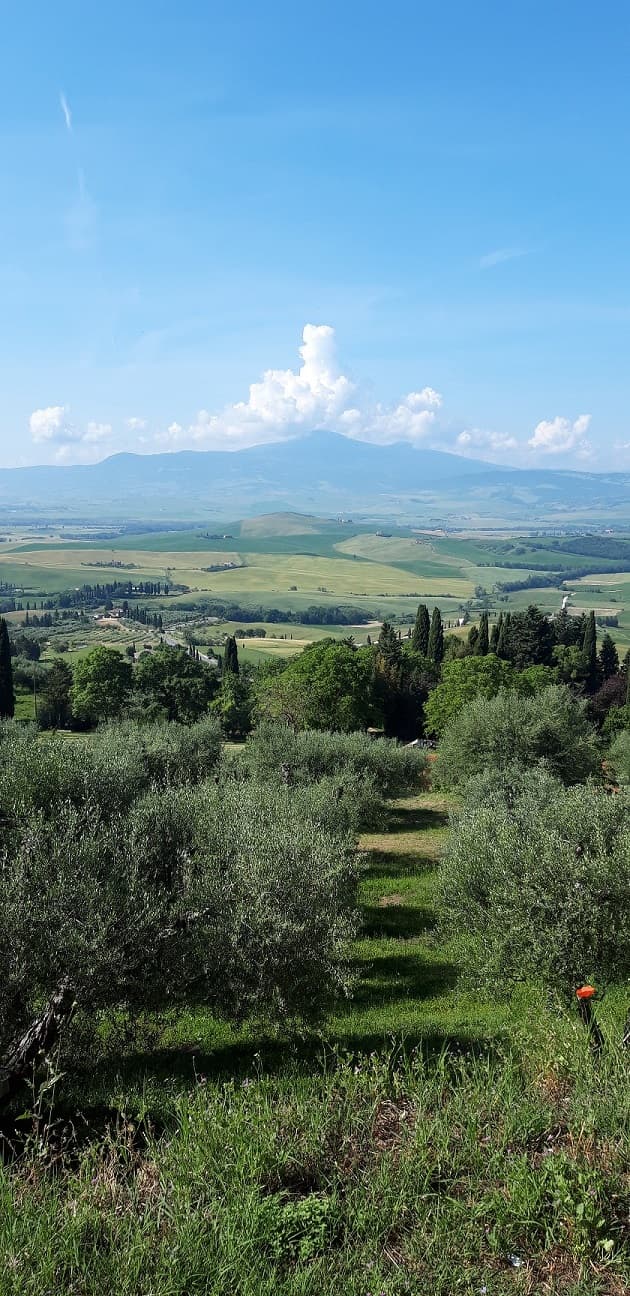 13 pienza 
