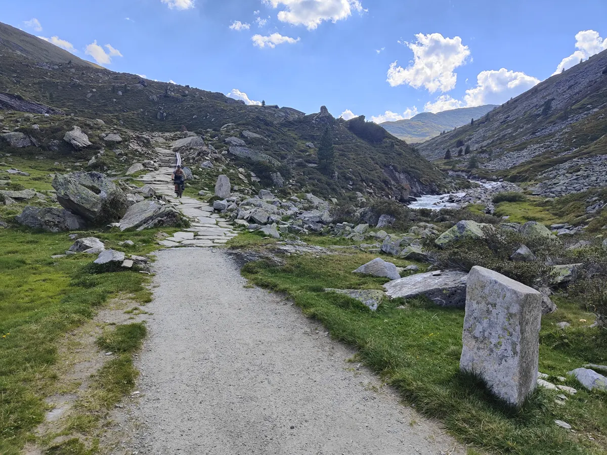 kamster grund