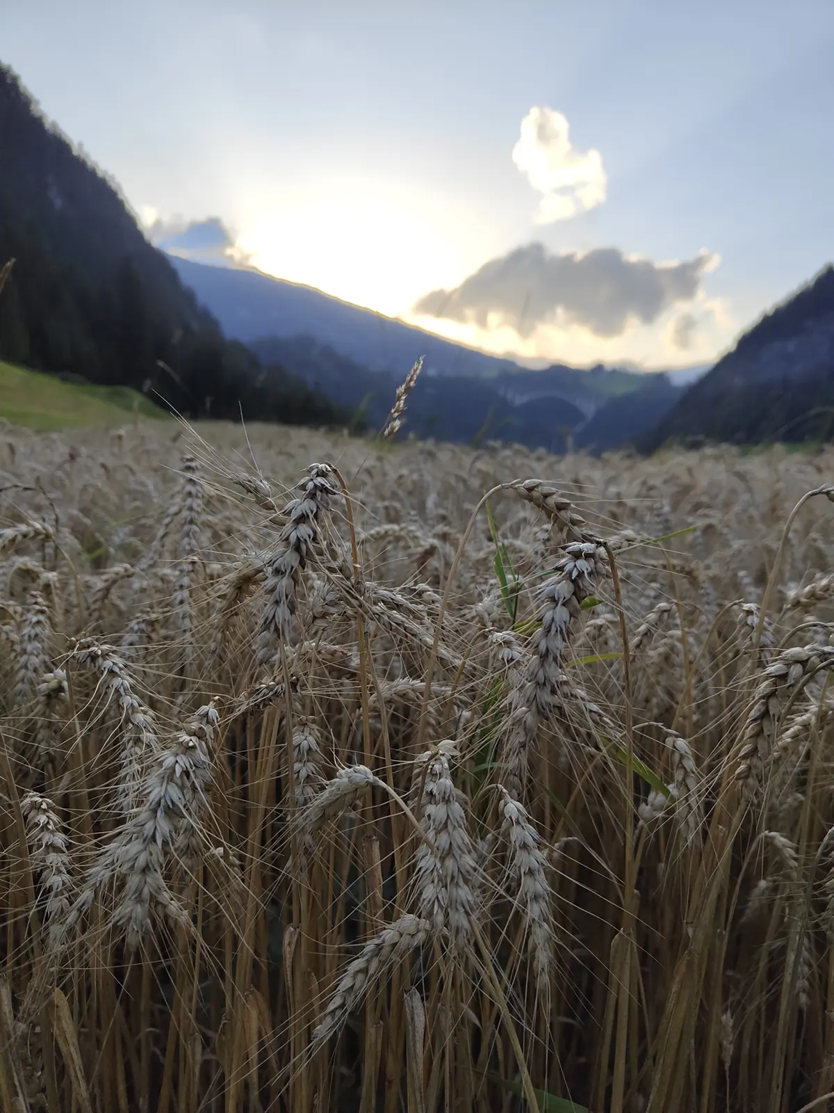 st jodok am brenner campo