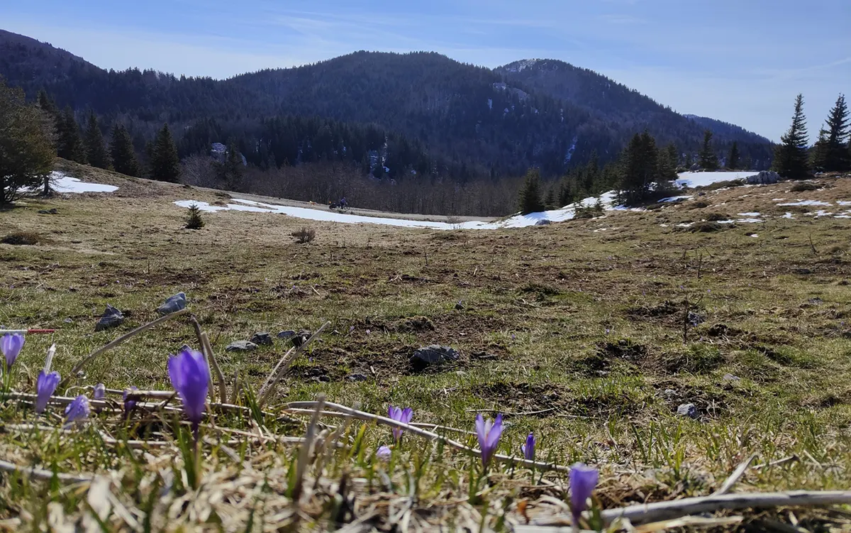 velebit settentrionale