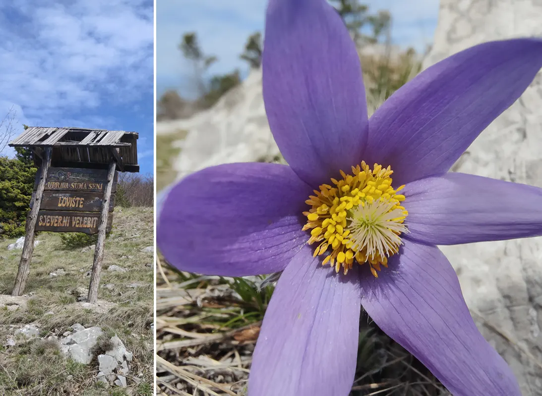 sjeverni velebit croatia