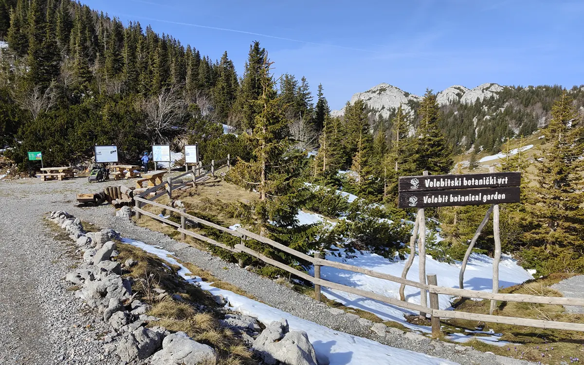 velebit botanical garden