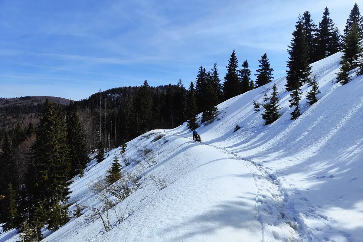 velebit neve in quota