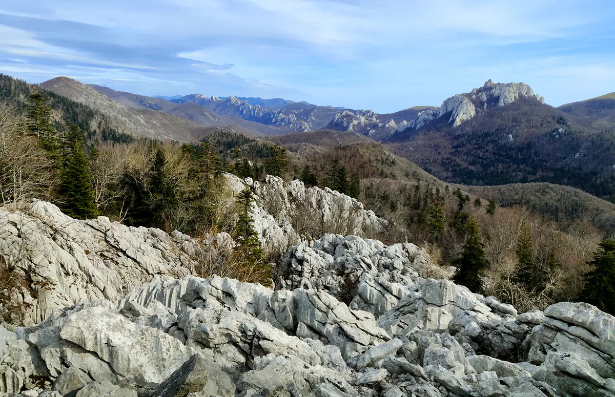 trnovac