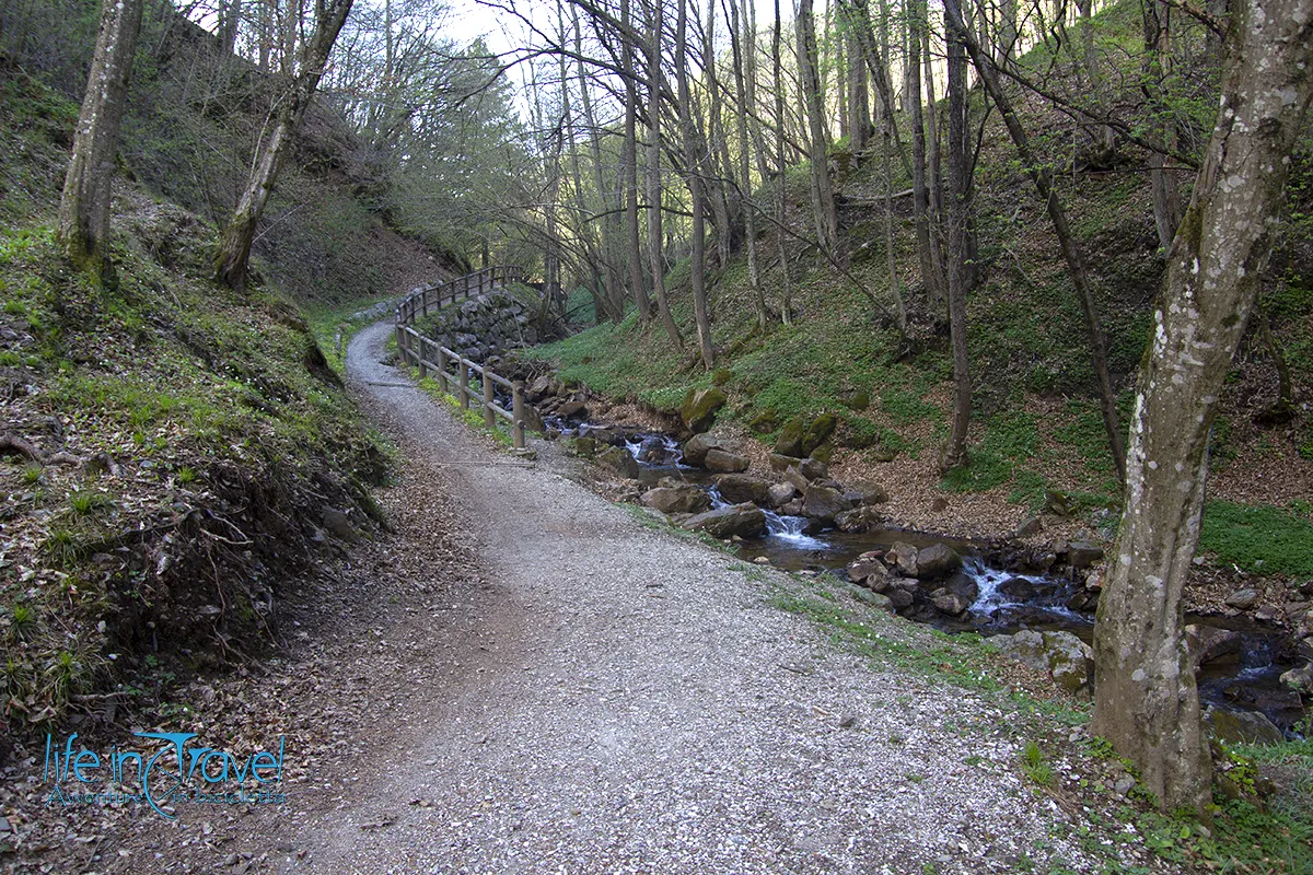 via claudia augusta in the woods
