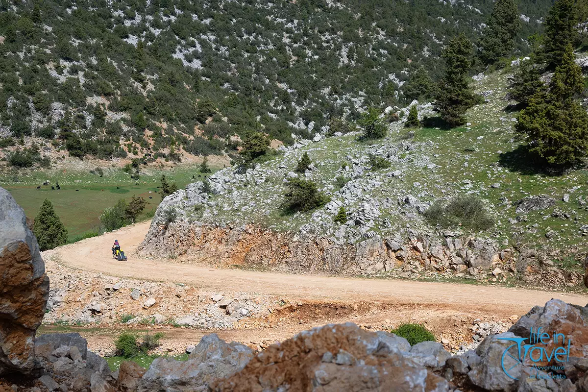 27 transtaurus goktepe