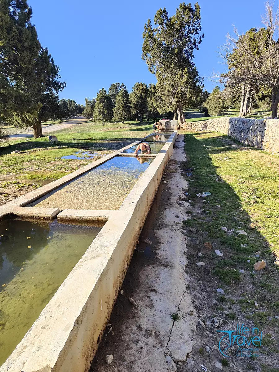 32 transtaurus bagno abbeveratoio