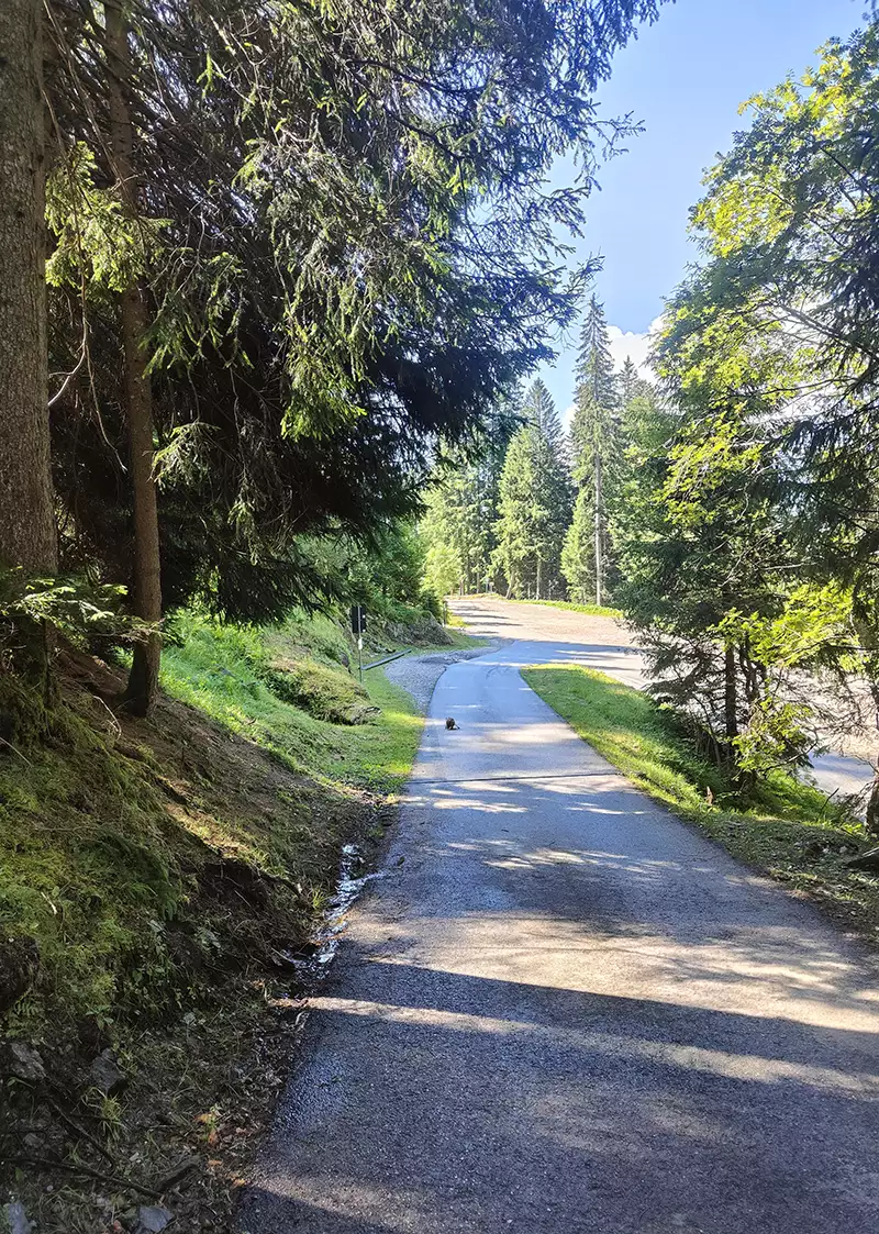 ciclopedonale del primiero
