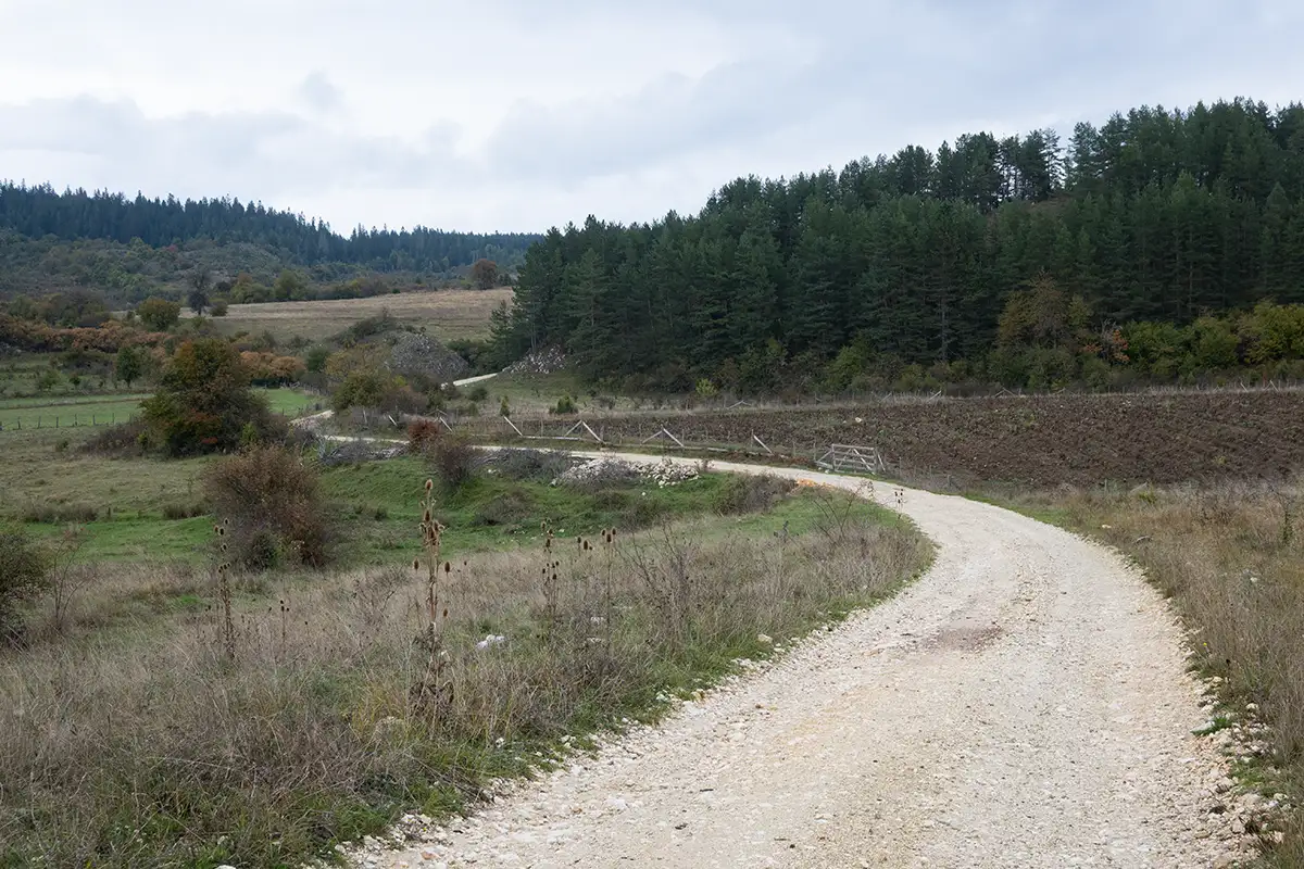 08 gravel roads in bici