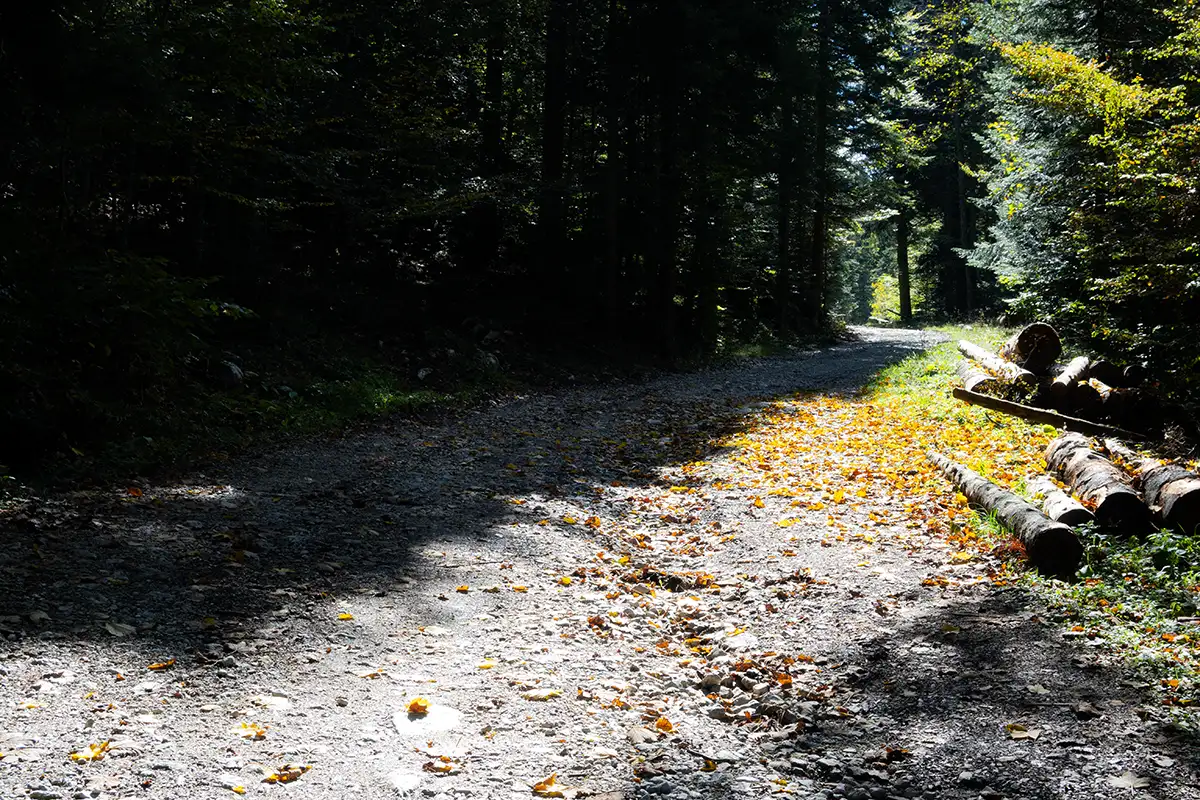 autunno