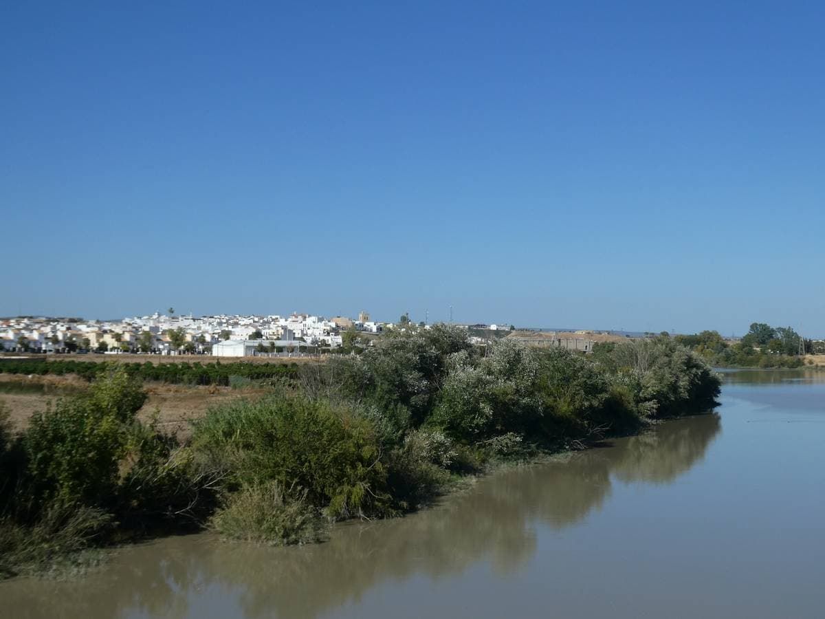 02 Guadalquivir