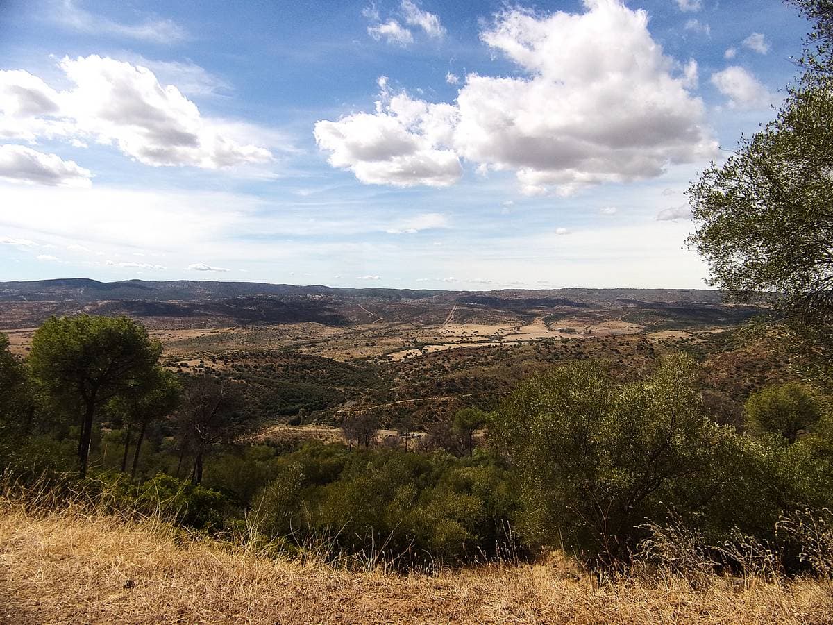 19 Arroyo de Cazadillas