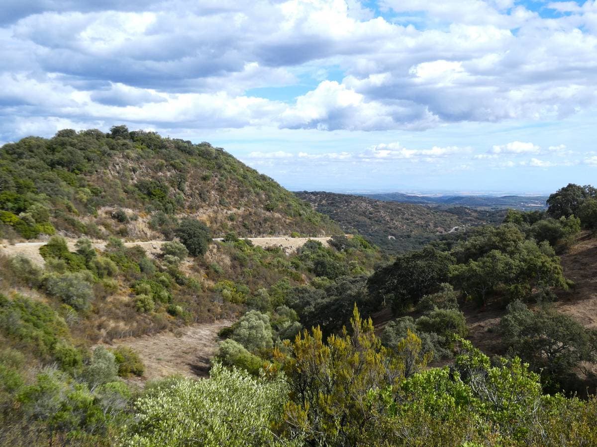 25 Sierra de Hornachuelos