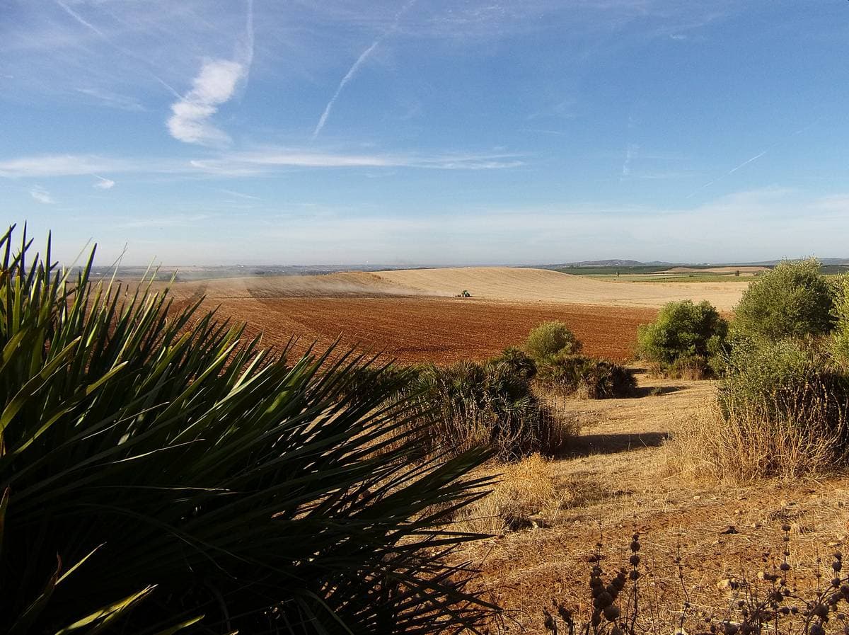 27 Cerro del Loco