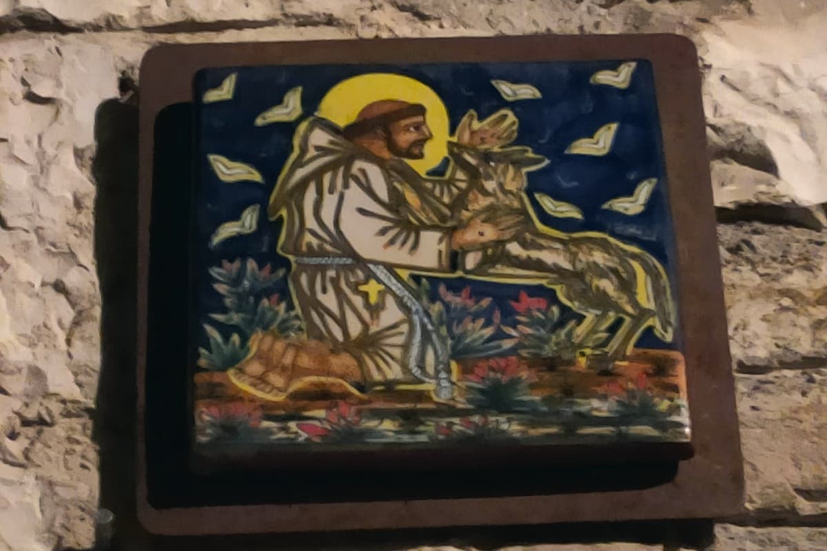 20 san francesco e il lupo assisi