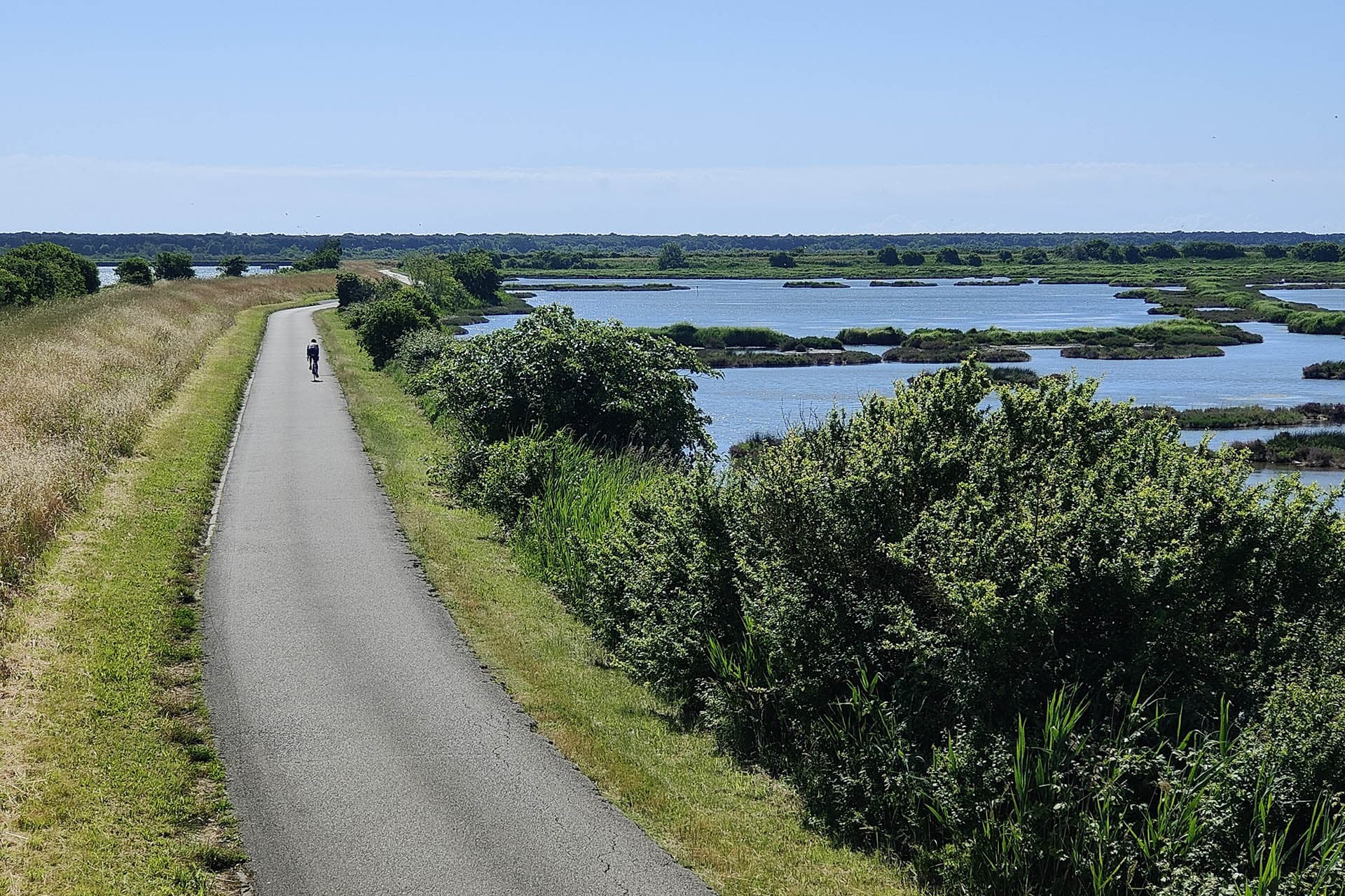 Via delle Valli - Delta del Po