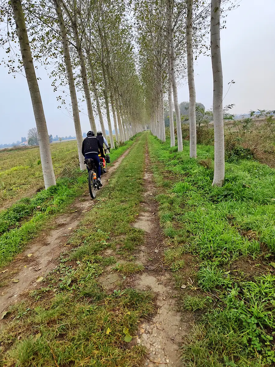 road to imba viale