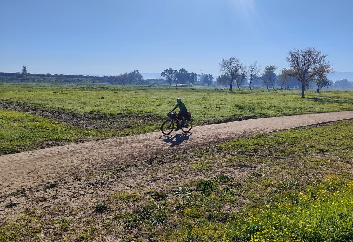 algeria in bici