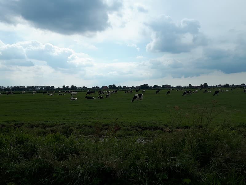 pianure in olanda