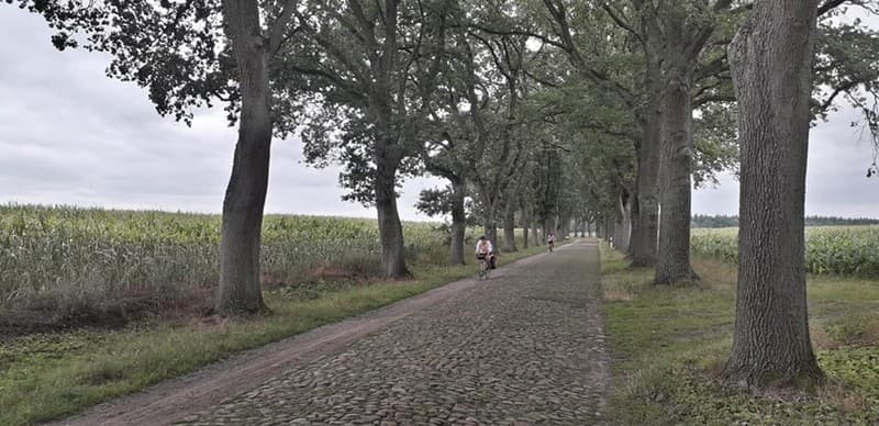pave brema