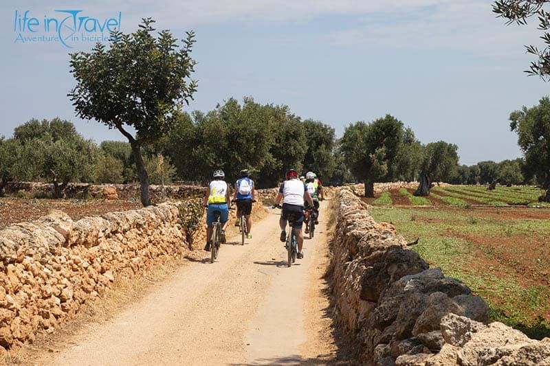 puglia in.bici murgia