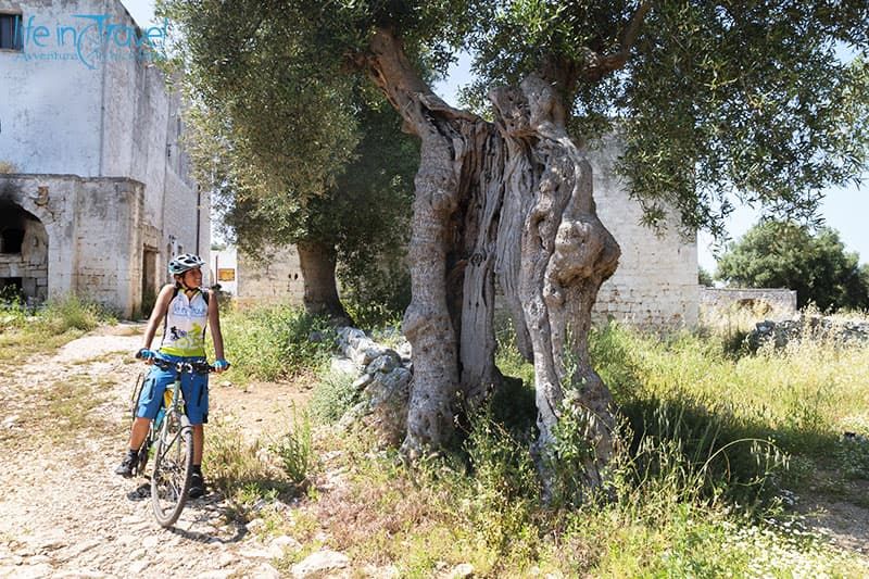 vecchia masseria monopoli