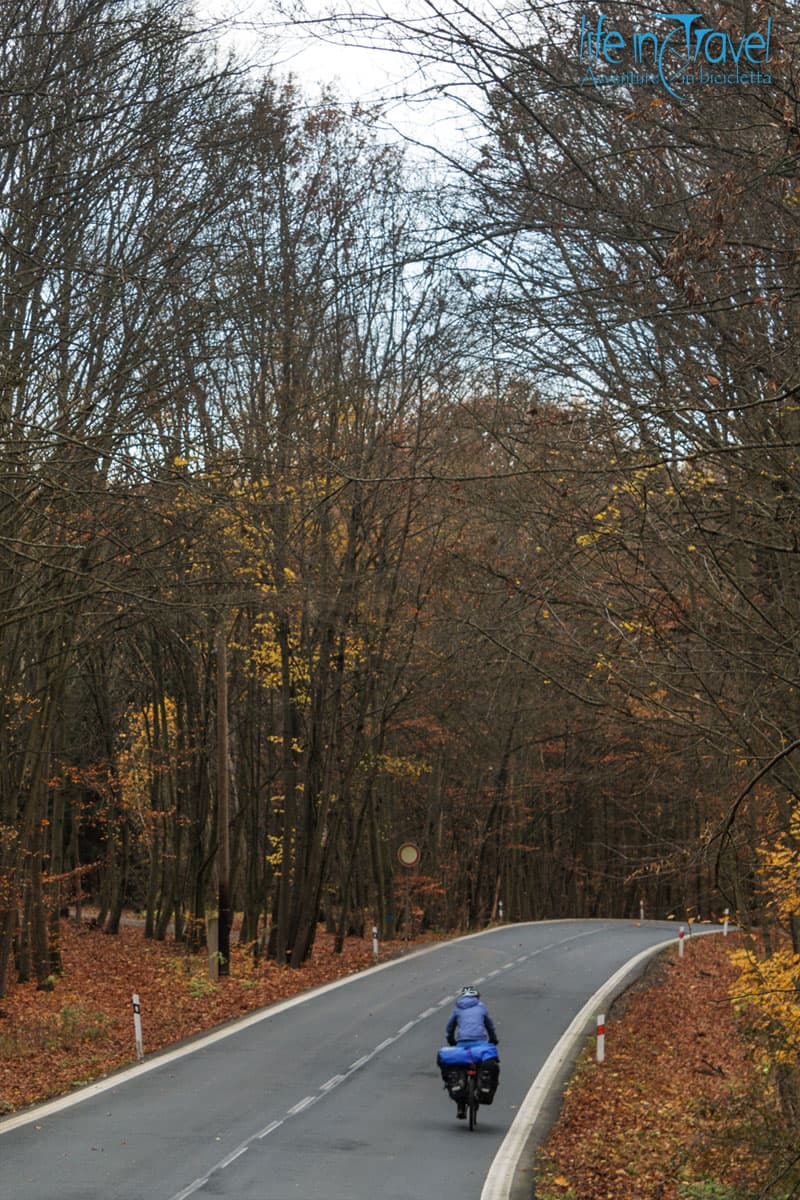 11 brno praga in bicicletta bosco latifoglie