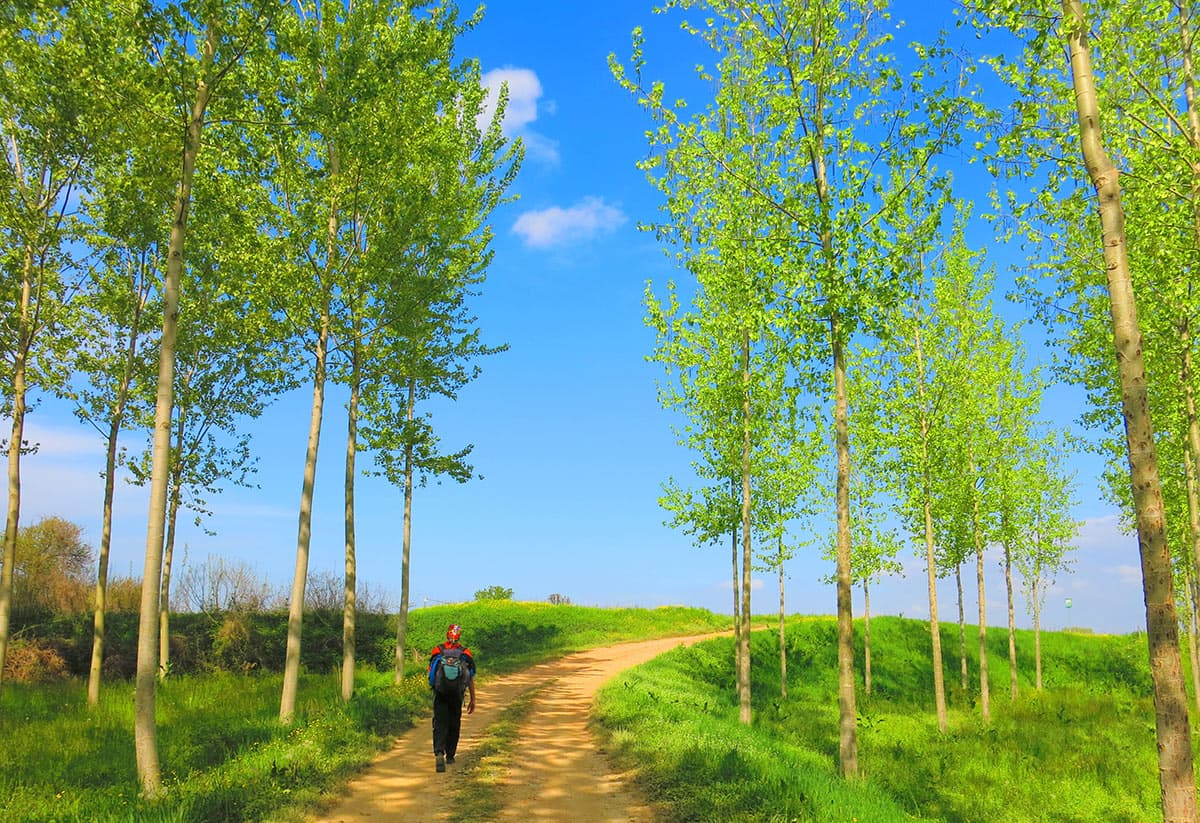via postumia campagna